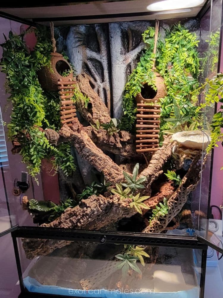 Living Walls & Bio-Vines