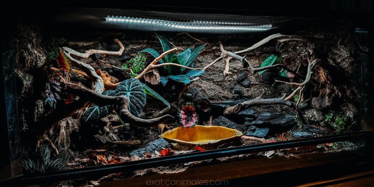 Core Elements of a Bioactive Enclosure