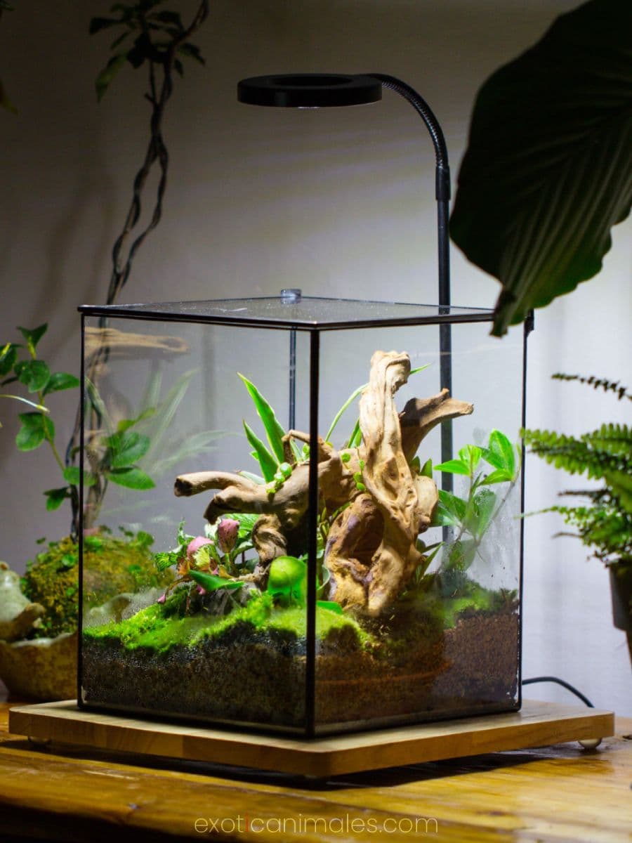 Designing a Balanced Lighting System