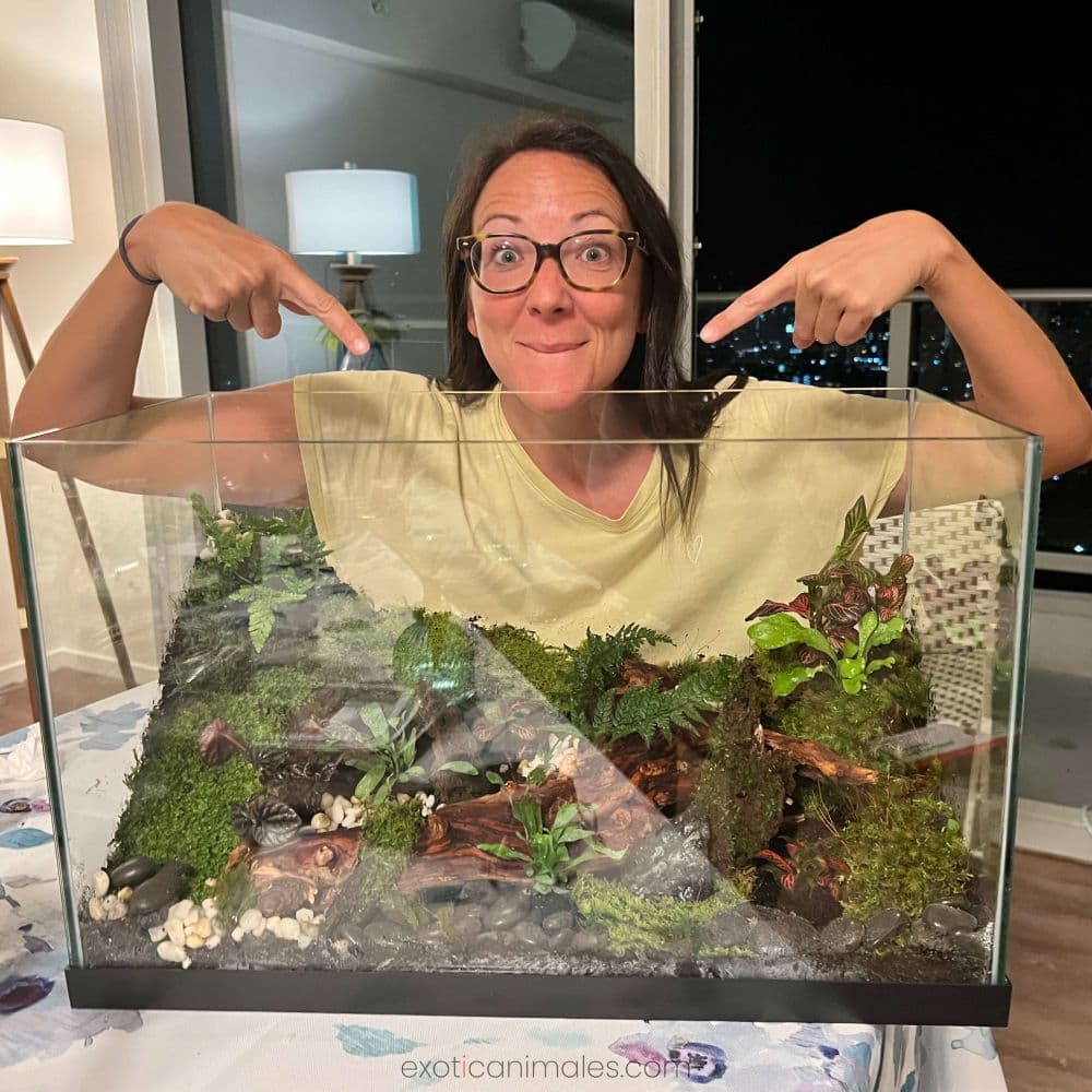 Planning and researching a bioactive enclosure setup