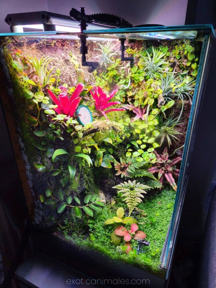 Establishing the Nitrogen Sink