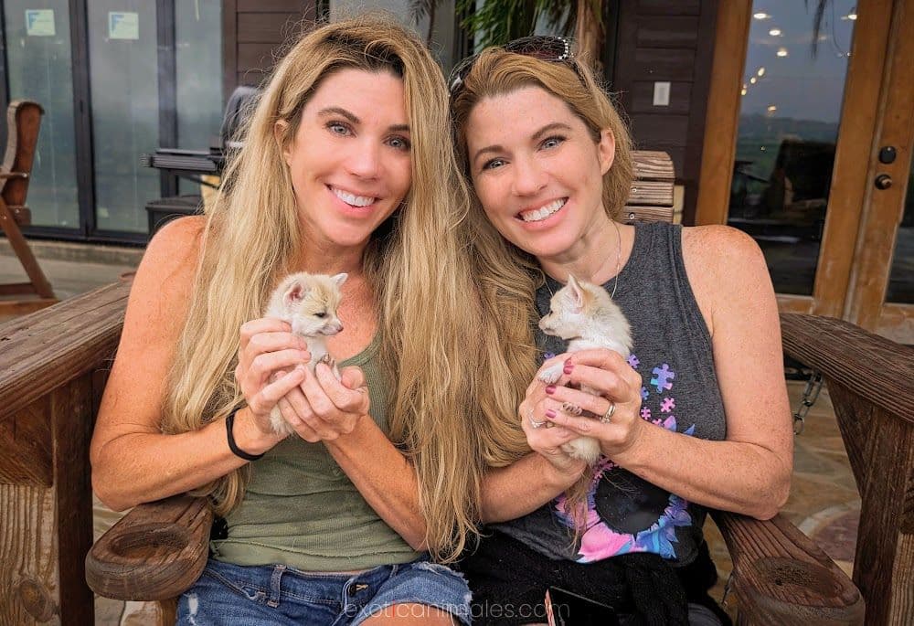 Rescue & Adopt Exotic Pet Companions