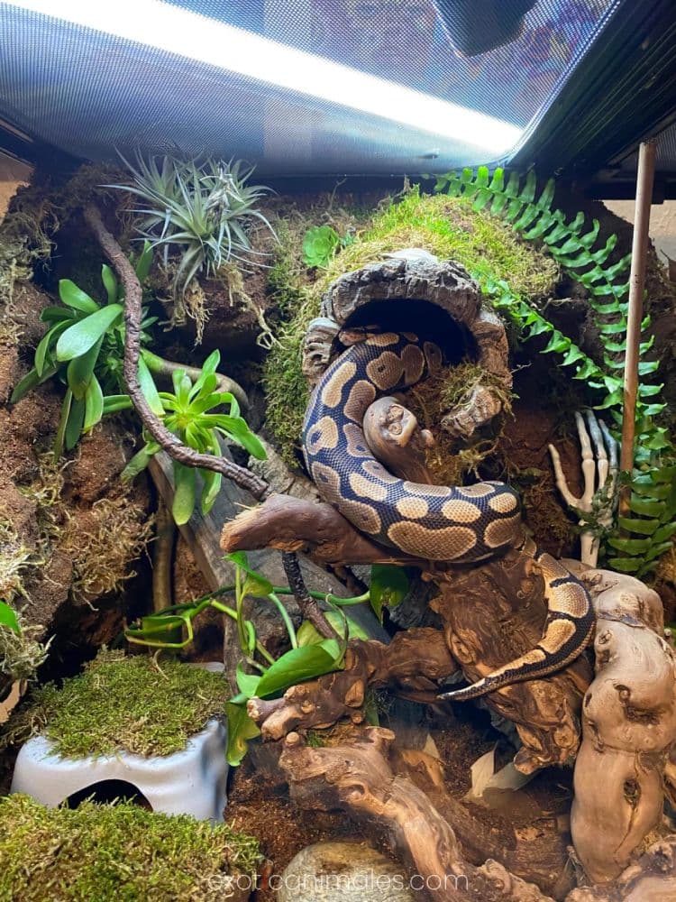 Managing the 'Bio-Load'