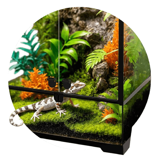 Terrarium & Cage Supplies